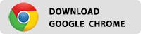 Google Chrome Icon